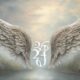 angel number 3636 significance