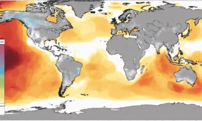 errors in ocean warming