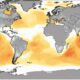 errors in ocean warming