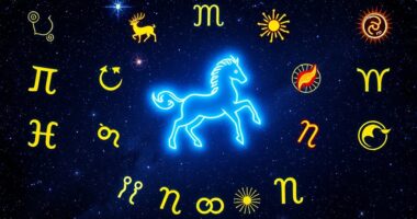 aquarius compatibility with all signs