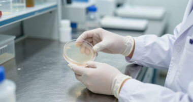 Candida Auris