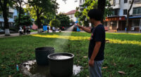 São Paulo Reports Over 58,000 Dengue Cases In 2024