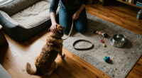 Why “It’s Only A Dog” Really Misses The Point
